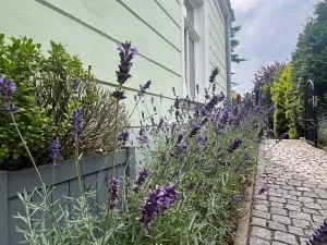 Pronájem bytu 2+1, Dubí, Ruská, 69 m2