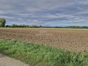 Prodej komerčního pozemku, Malešovice, 12361 m2