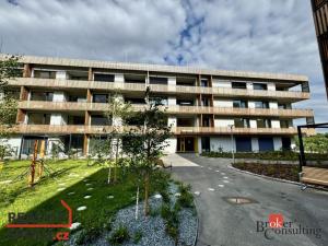 Pronájem bytu 1+kk, Plzeň - Východní Předměstí, Kartónová, 43 m2