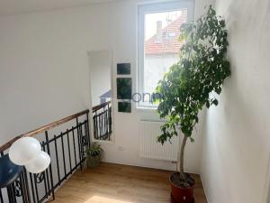 Pronájem rodinného domu, Praha, Hornoměcholupská, 230 m2