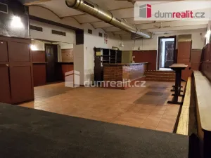 Pronájem komerční nemovitosti, České Budějovice - České Budějovice 6, U Tří lvů, 220 m2