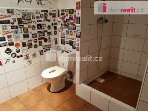 Pronájem komerční nemovitosti, České Budějovice - České Budějovice 6, U Tří lvů, 220 m2