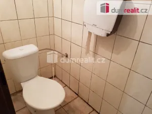 Pronájem komerční nemovitosti, České Budějovice - České Budějovice 6, U Tří lvů, 220 m2