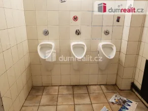 Pronájem komerční nemovitosti, České Budějovice - České Budějovice 6, U Tří lvů, 220 m2