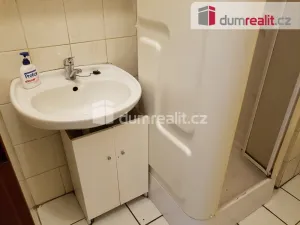 Pronájem komerční nemovitosti, České Budějovice - České Budějovice 6, U Tří lvů, 220 m2