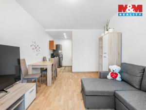 Prodej bytu 2+kk, Kladno - Kročehlavy, Francouzská, 40 m2