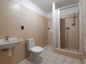 Pronájem bytu 1+1, Bílina - Teplické Předměstí, Sídliště Za Chlumem, 40 m2