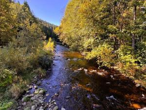 Prodej rodinného domu, Jablonec nad Jizerou - Blansko, 224 m2