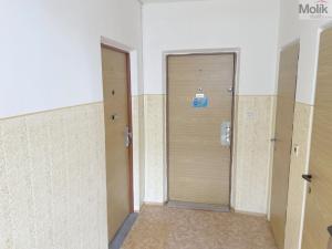 Prodej bytu 3+1, Litvínov - Janov, Hamerská, 69 m2