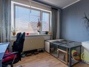 Prodej bytu 3+1, Sokolov, Spartakiádní, 74 m2