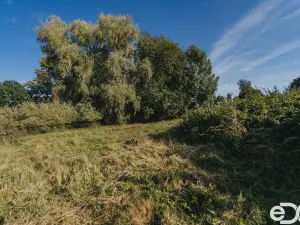 Prodej pozemku pro bydlení, Višňová, 3564 m2