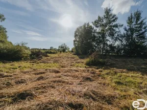 Prodej pozemku pro bydlení, Višňová, 3564 m2