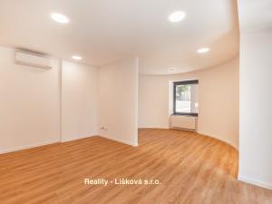 Pronájem bytu 1+kk, Ústí nad Labem, Bělehradská, 56 m2