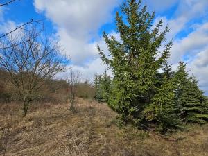 Dražba pozemku, Brno, 994 m2