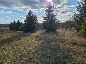 Dražba pozemku, Brno, 994 m2