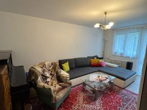 Pronájem bytu 2+1, Chomutov, Marie Pujmanové, 53 m2