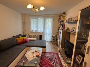 Pronájem bytu 2+1, Chomutov, Marie Pujmanové, 53 m2