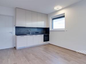 Pronájem bytu 1+kk, Praha - Chodov, Šternovská, 32 m2