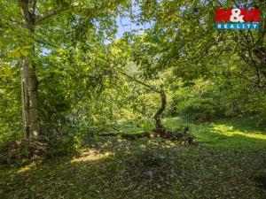 Prodej chalupy, Ohnišov, 412 m2