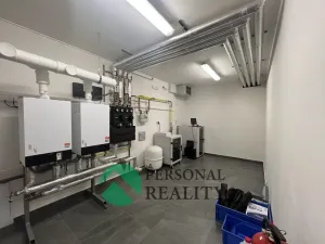 Pronájem výrobních prostor, Herink, Hlavní, 1106 m2