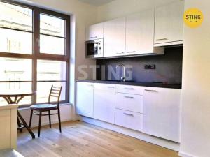 Pronájem bytu 1+kk, Brno, Bratislavská, 23 m2