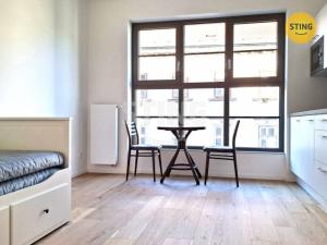Pronájem bytu 1+kk, Brno, Bratislavská, 23 m2