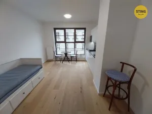 Pronájem bytu 1+kk, Brno, Bratislavská, 23 m2