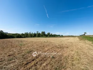 Prodej zahrady, Únanov, 1251 m2