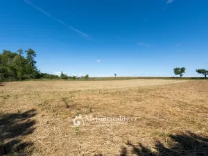 Prodej zahrady, Únanov, 1251 m2