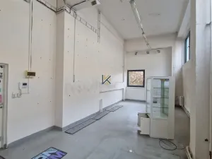 Pronájem obchodního prostoru, Praha - Holešovice, Jankovcova, 240 m2
