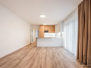 Pronájem bytu 3+kk, Praha - Záběhlice, Klapálkova, 220 m2