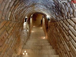 Prodej vícegeneračního domu, Dolní Bojanovice, Vinařská, 367 m2