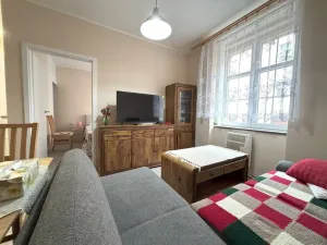 Pronájem bytu 2+kk, Plzeň - Jižní Předměstí, Doudlevecká, 39 m2