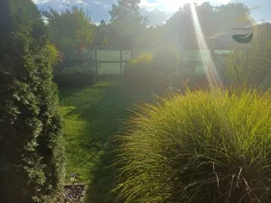 Prodej chaty, Přeštice, 18 m2