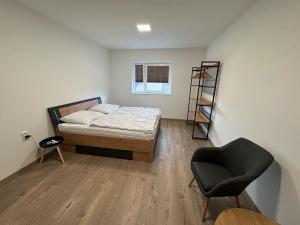 Pronájem rodinného domu, Jeseník, Javorová, 215 m2