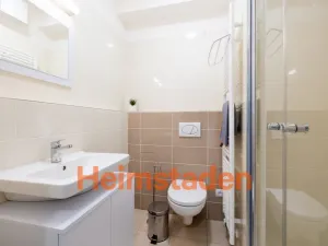 Pronájem bytu 1+kk, Plzeň - Jižní Předměstí, Magisterská, 28 m2