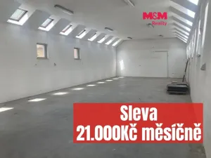 Pronájem skladu, Šťáhlavy - Šťáhlavice, 156 m2