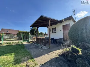 Prodej zahrady, Obrnice - České Zlatníky, 395 m2