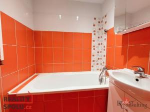 Prodej bytu 3+1, Litvínov - Horní Litvínov, U Zámeckého parku, 59 m2