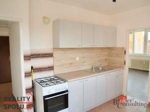 Prodej bytu 3+1, Litvínov - Horní Litvínov, U Zámeckého parku, 59 m2