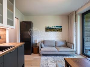 Prodej bytu 1+kk, Železná Ruda - Hojsova Stráž, 30 m2