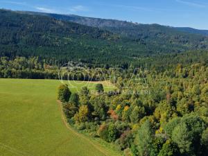 Prodej bytu 1+kk, Železná Ruda - Hojsova Stráž, 30 m2