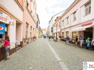 Pronájem bytu 1+1, Rakovník, Nádražní, 72 m2