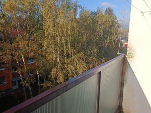 Pronájem bytu 2+1, Duchcov, V Domkách, 61 m2