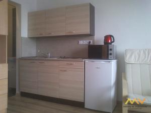 Pronájem bytu 1+kk, Hradec Králové - Nový Hradec Králové, Brožíkova, 22 m2