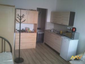 Pronájem bytu 1+kk, Hradec Králové - Nový Hradec Králové, Brožíkova, 22 m2