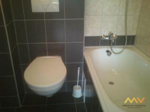 Pronájem bytu 1+kk, Hradec Králové - Nový Hradec Králové, Brožíkova, 22 m2