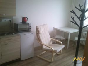 Pronájem bytu 1+kk, Hradec Králové - Nový Hradec Králové, Brožíkova, 22 m2