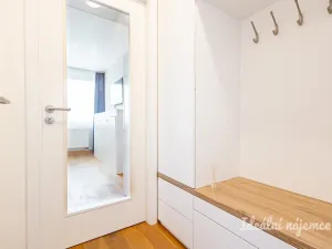 Pronájem bytu 1+kk, Praha - Vinohrady, Perucká, 26 m2