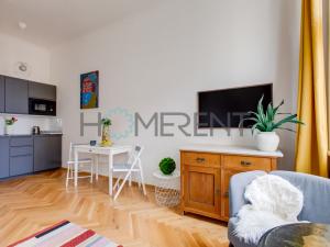 Pronájem bytu 1+kk, Praha - Vinohrady, Lublaňská, 25 m2